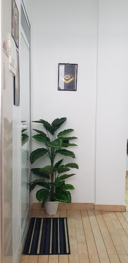Tanjastudio 3Rd Floor, No Elevator タンジェ エクステリア 写真